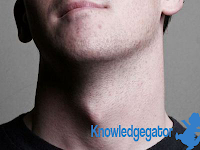 Why Men Grow Adam's Apple?