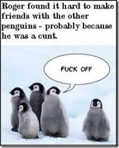 penguins