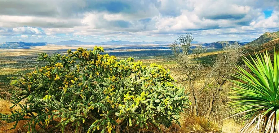 Arizona Landscape