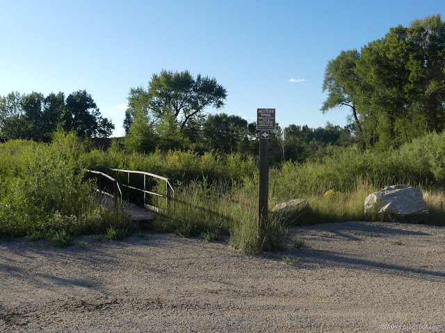 18: bridge among weeds