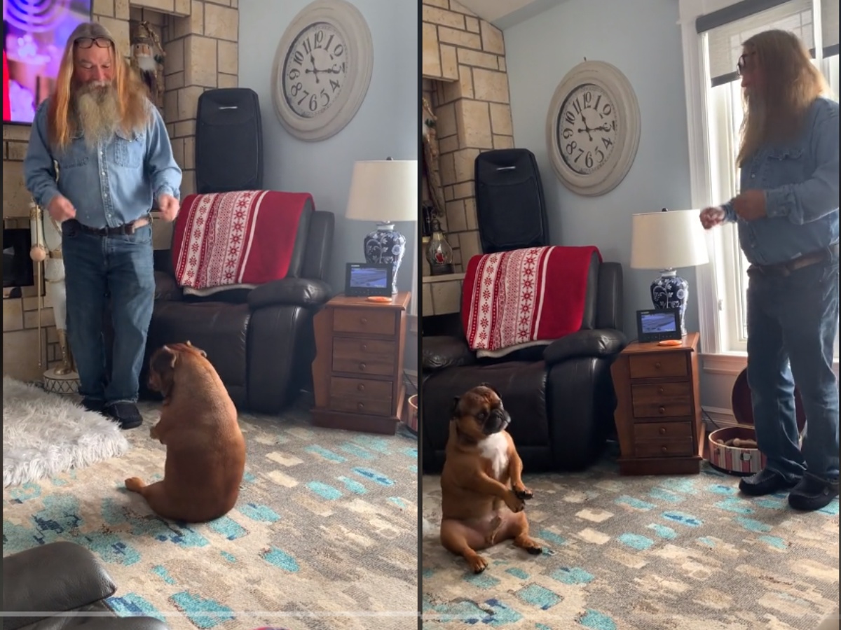 a dog and its owner dancing