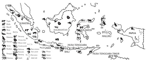 Peta Persebaran  Fauna  Di Indonesia Seputar Informasi
