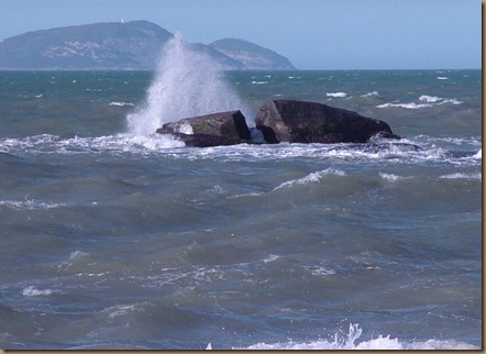 DSC00603ii