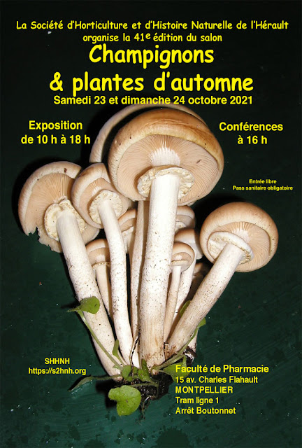 Salon des champignons Montpellier 2021