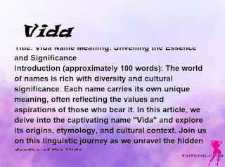 meaning of the name "Vida"