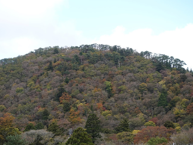 11月の紅葉の大山
