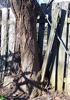 The fence in the tree