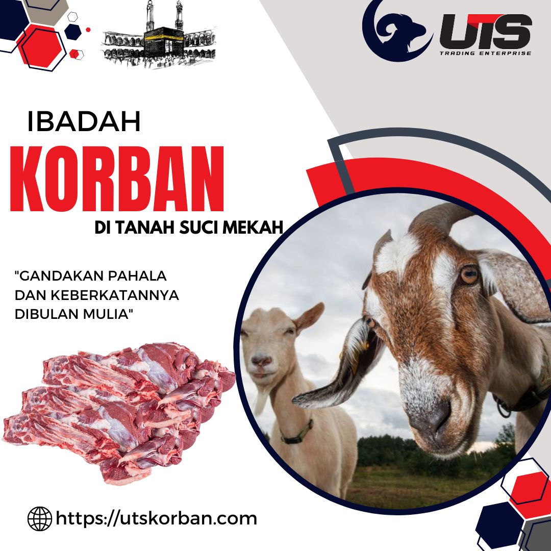 kenapa kambing di mekah murah sangat?