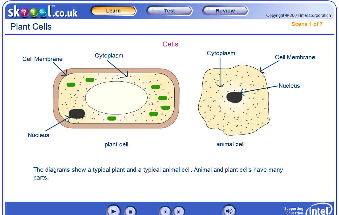 Tech Coach: Plant Cells