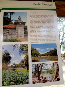 Horto Florestal de São Paulo ou Parque Estadual Albert Löfgren