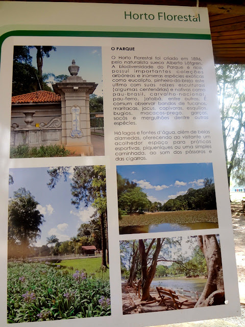 Horto Florestal de São Paulo ou Parque Estadual Albert Löfgren