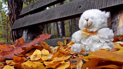 white-teddy-bear-sitting-on-leaves