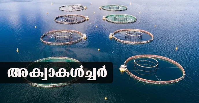 Aquaculture