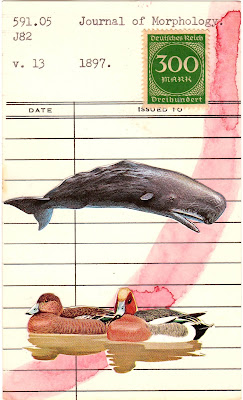 Deleuze Dada fluxus library card postage stamp ducks sperm whale mail art collage