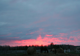 sunrise at Wabi Brook Studio