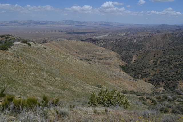 grassy hillside