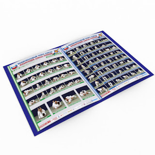 https://www.ebay.com/itm/Posters-Judo-KU-Set-18-pieces-120-judo-techniques-/152343738695