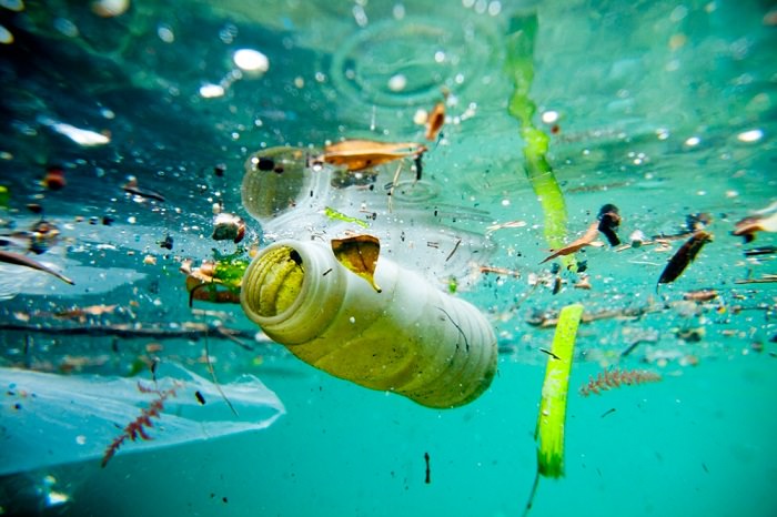 Resultado de imagen de efecto de la contaminaciÃ³n de agua