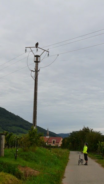 As5