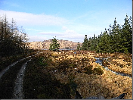 galloway forest 2013 feb 011