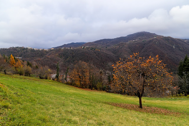 caco panorama montaldo val corsaglia 