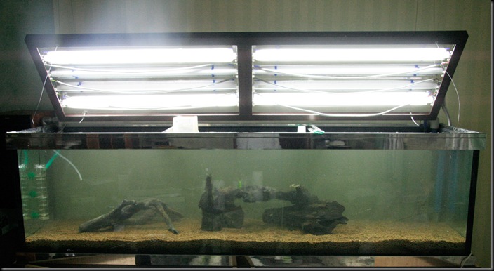 Acquario 2