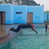 VÍDEO: homem morre após salto de cabeça em piscina rasa durante festa 