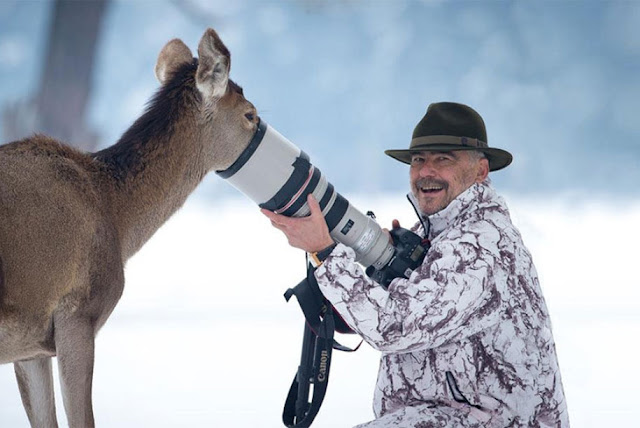 20 fotos mostram que fotografar a animais selvagens pode ser um dos melhores trabalhos do mundo