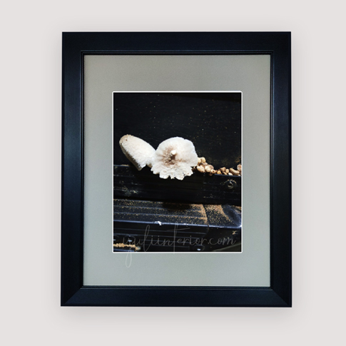 Buy custom wall frames online in Lagos Nigeria