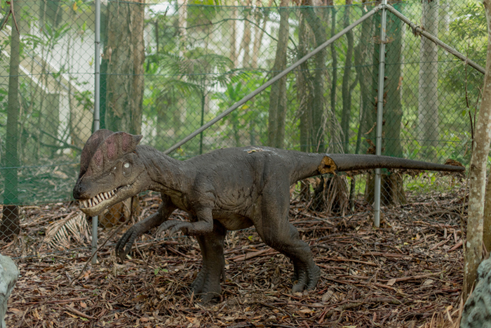 palmersaurus dinosaur park