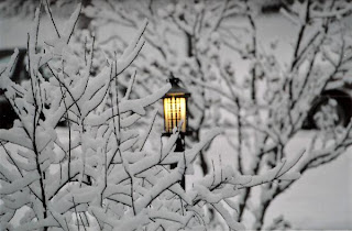 beautiful christmas morning snow