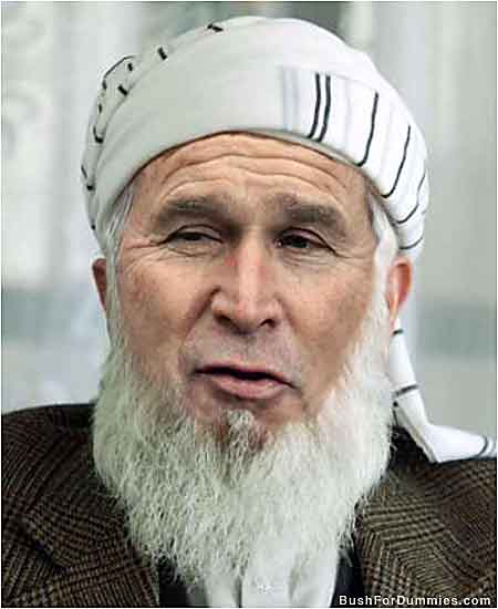 osama bin laden bush. osama bin laden bush.