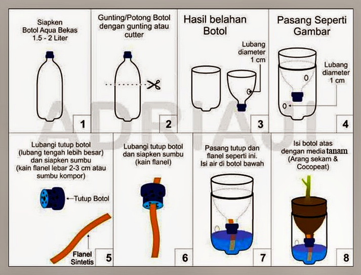 Tanaman Hidroponik Solusi Mudah Bercocok Tanam Di Rumah ...