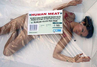 Human Meat - More Like An Illusion