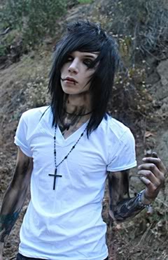 Andy sixx hairstyle  Celebrities Hairstyle