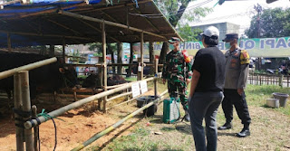 Kabid Humas Polda Jabar : Cegah PMK, Polisi Terus Monitoring Hewan Qurban Di Baleendah