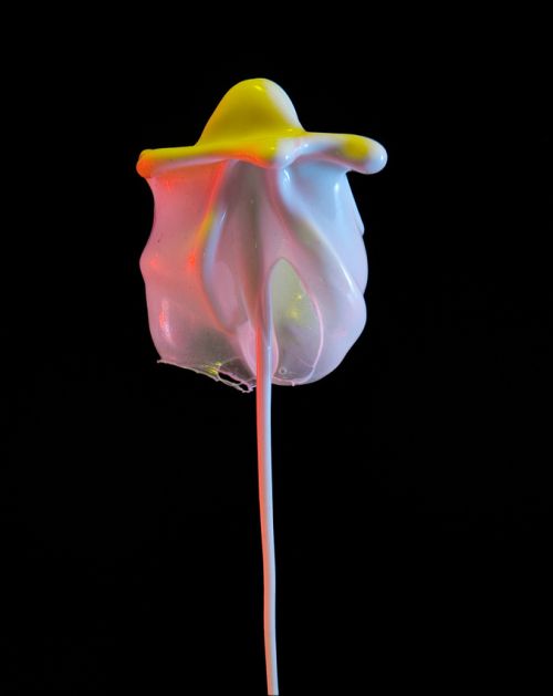 Jack Long fotografia esculturas líquidas flores de líquidos coloridos