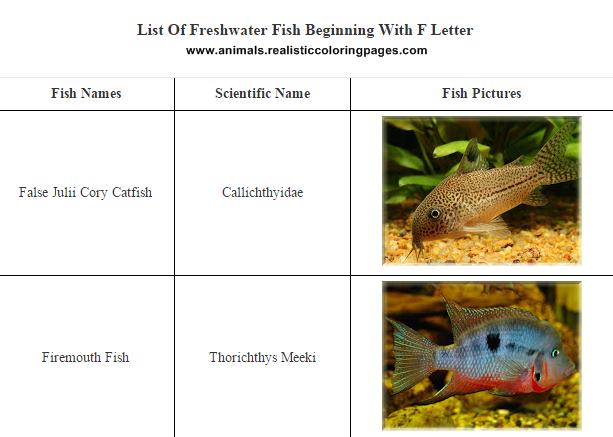 List of freshwater fish beginning with F