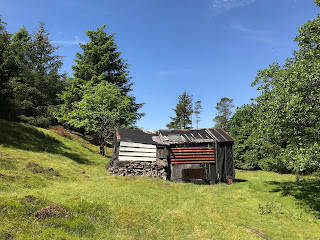 A photo of an old shack standing in a grassy hollow with trees around it.  Photograph by Kevin Nosferatu for the Skulferatu Project.