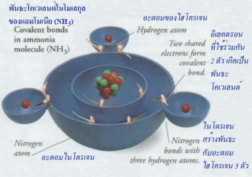 Covalent bonds