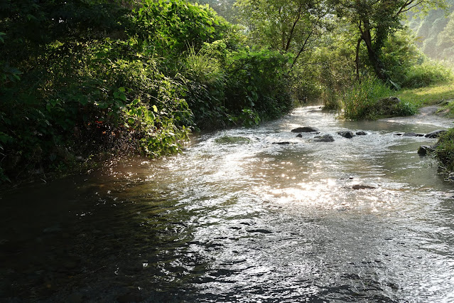 鳥取県西伯郡伯耆町丸山の地蔵滝の泉