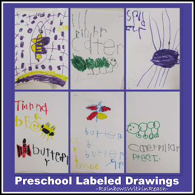 photo of: Preschool Labeled Drawings of Spring Creatures