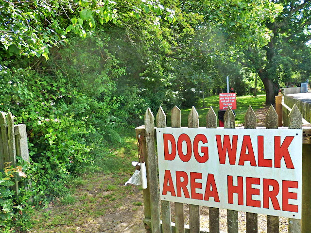 Dog walking area, Par Market, Cornwall