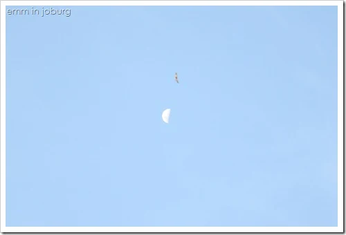 The Moon in Africa