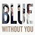 Without You Lyrics - Blue