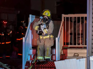 Gato salva a familia de incendio al morder a su mamá humana en el brazo