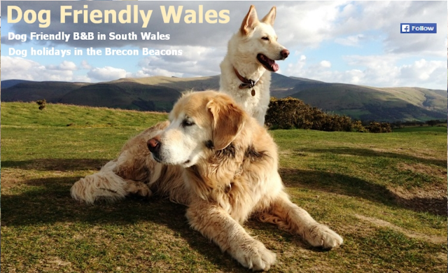 Dog Friendly Accommodation Wales