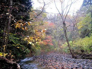 渓谷の河原