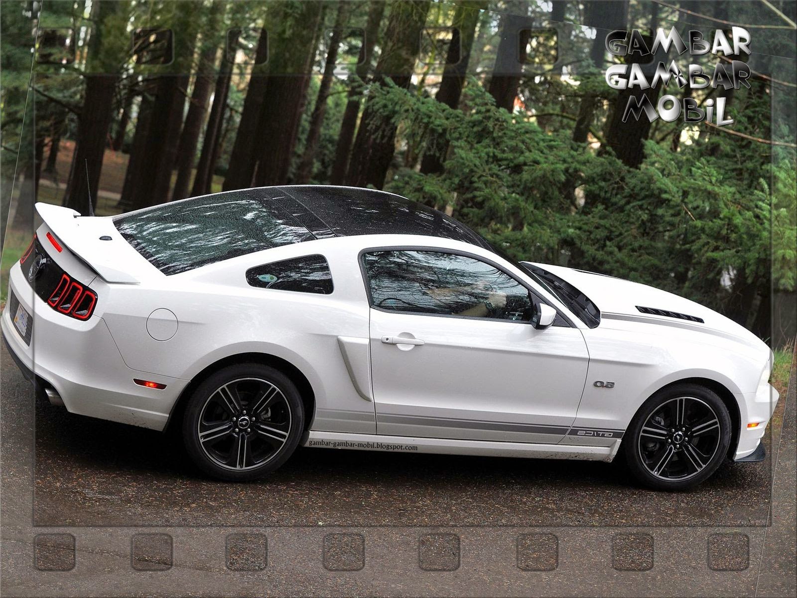 Gambar Mobil Mustang CINTA MOBIL