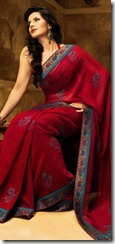 zarine_khan_in_saree_pics